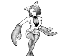 星肖绘 - 巨蟹座 猫