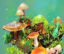 蘑菇-原创插画