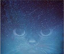 星空下的猫咪-原创星空