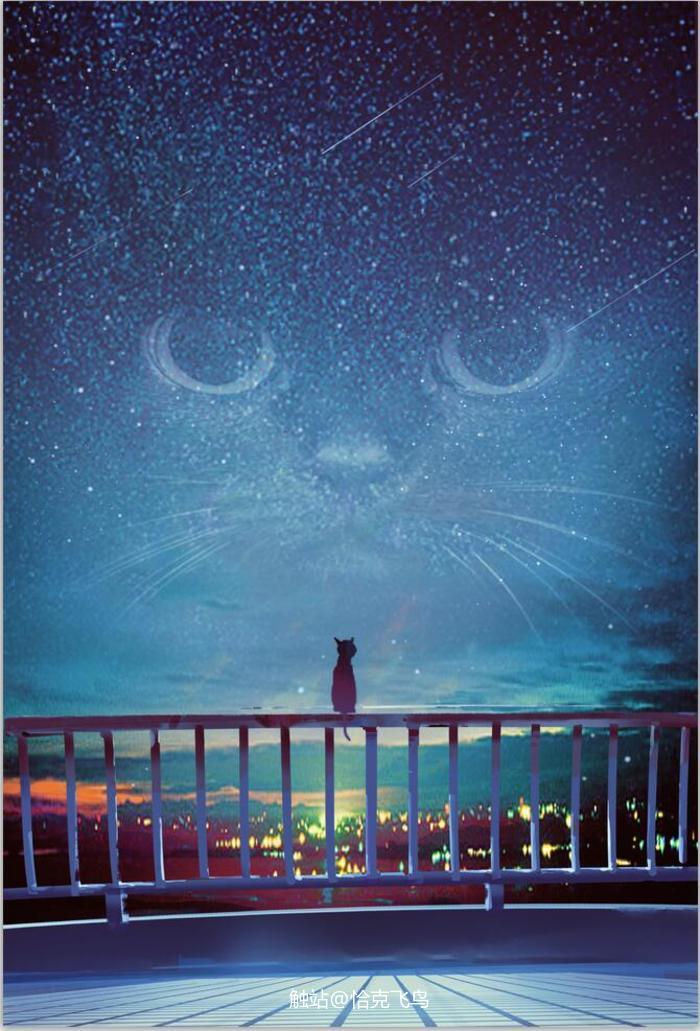 星空下的猫咪插画图片壁纸
