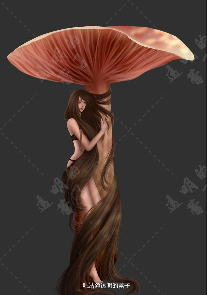 蘑菇少女插画图片壁纸