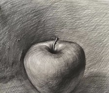 素描苹果-静物素描竖图