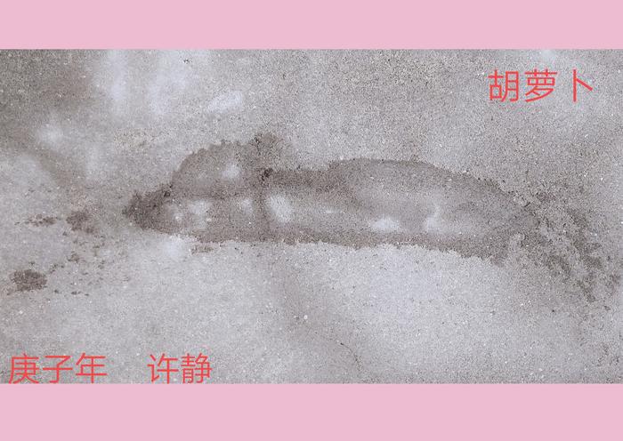 水朦畫.插画图片壁纸