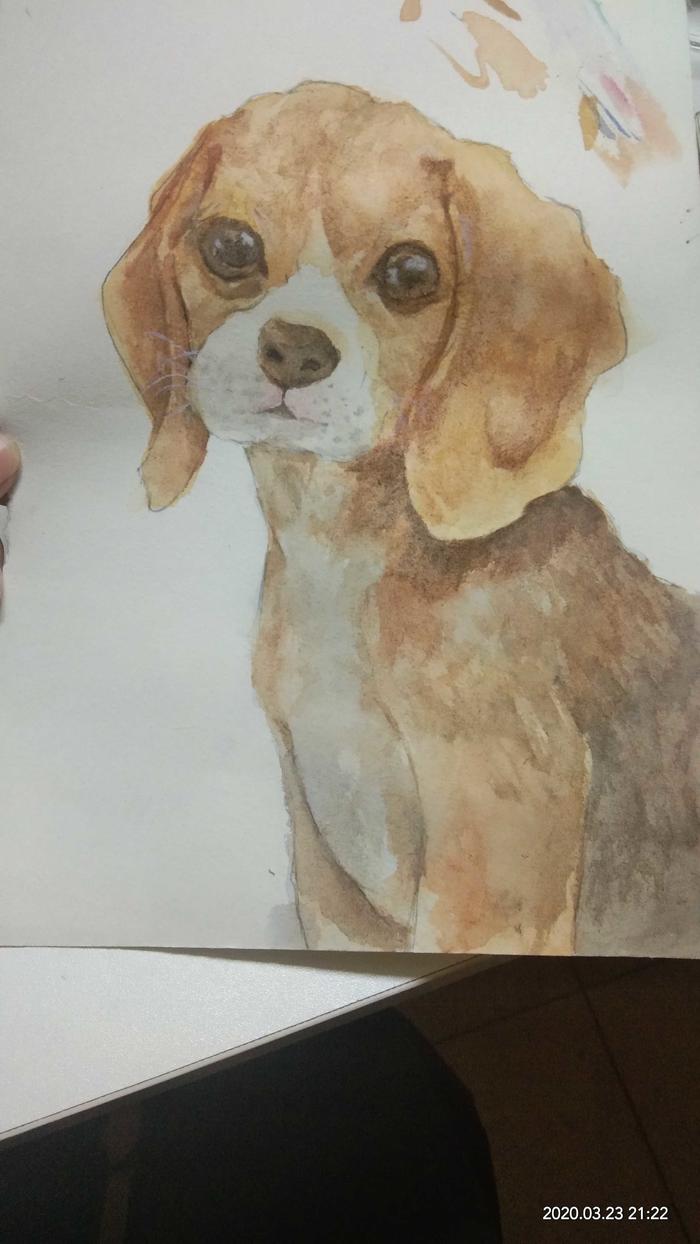 水彩狗狗插画图片壁纸