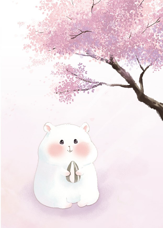 樱花的背景插画图片壁纸