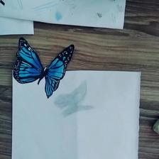 蝴蝶插画图片壁纸