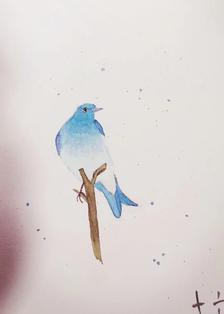 一只有思想的鸟插画图片壁纸