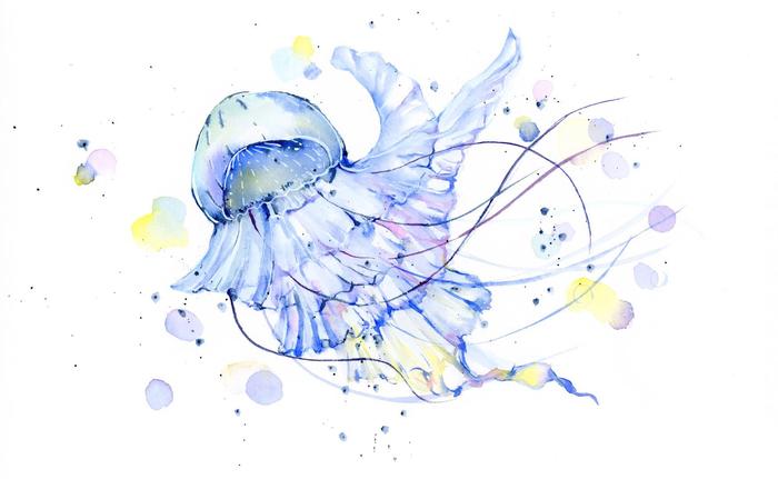 水母系列插画图片壁纸