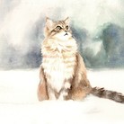 雪原上的猫