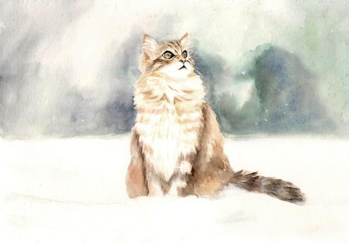 雪原上的猫插画图片壁纸