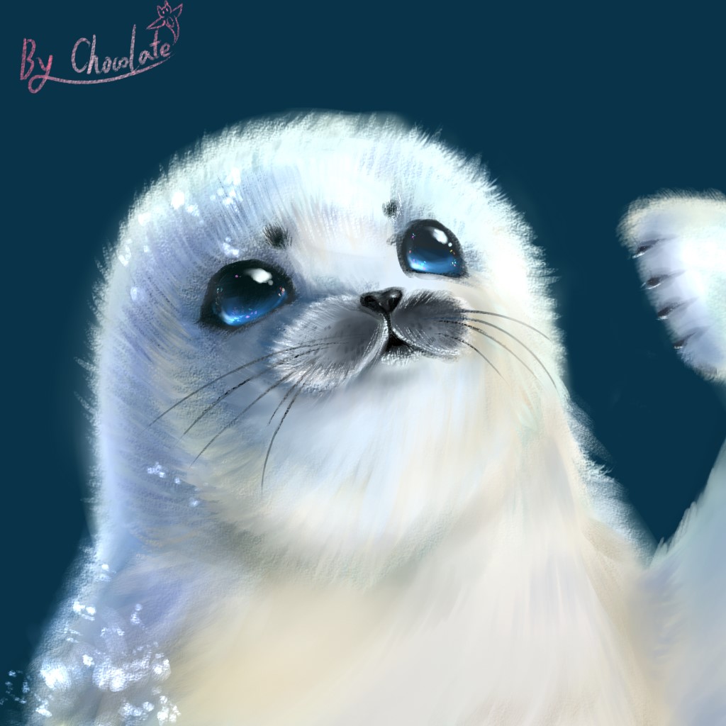 【厚涂】画了一只小海豹^q^！！（是竖琴海豹呐