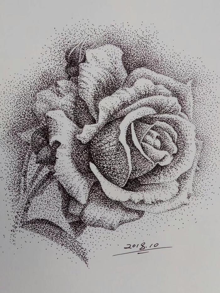 玫瑰插画图片壁纸