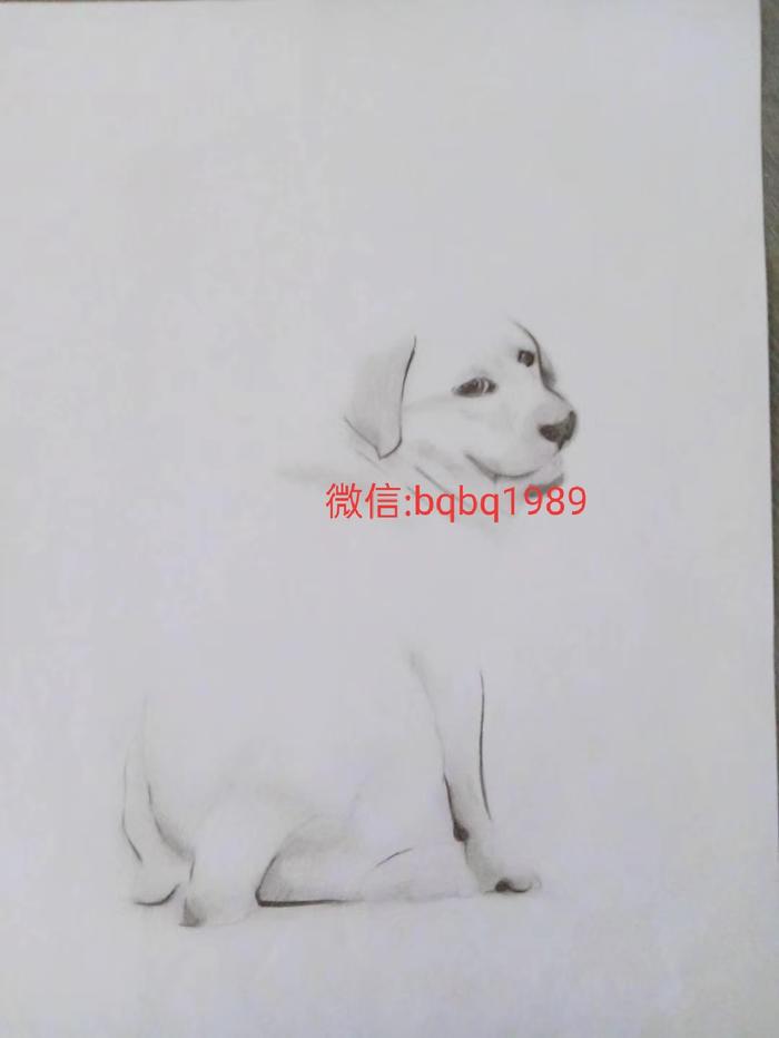 求约稿:素描手绘修图设计插画图片壁纸