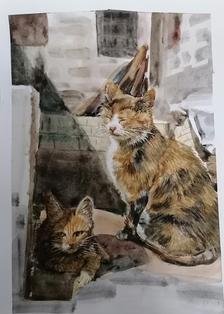 水彩慵懒的猫咪插画图片壁纸