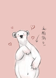 熊插画图片壁纸