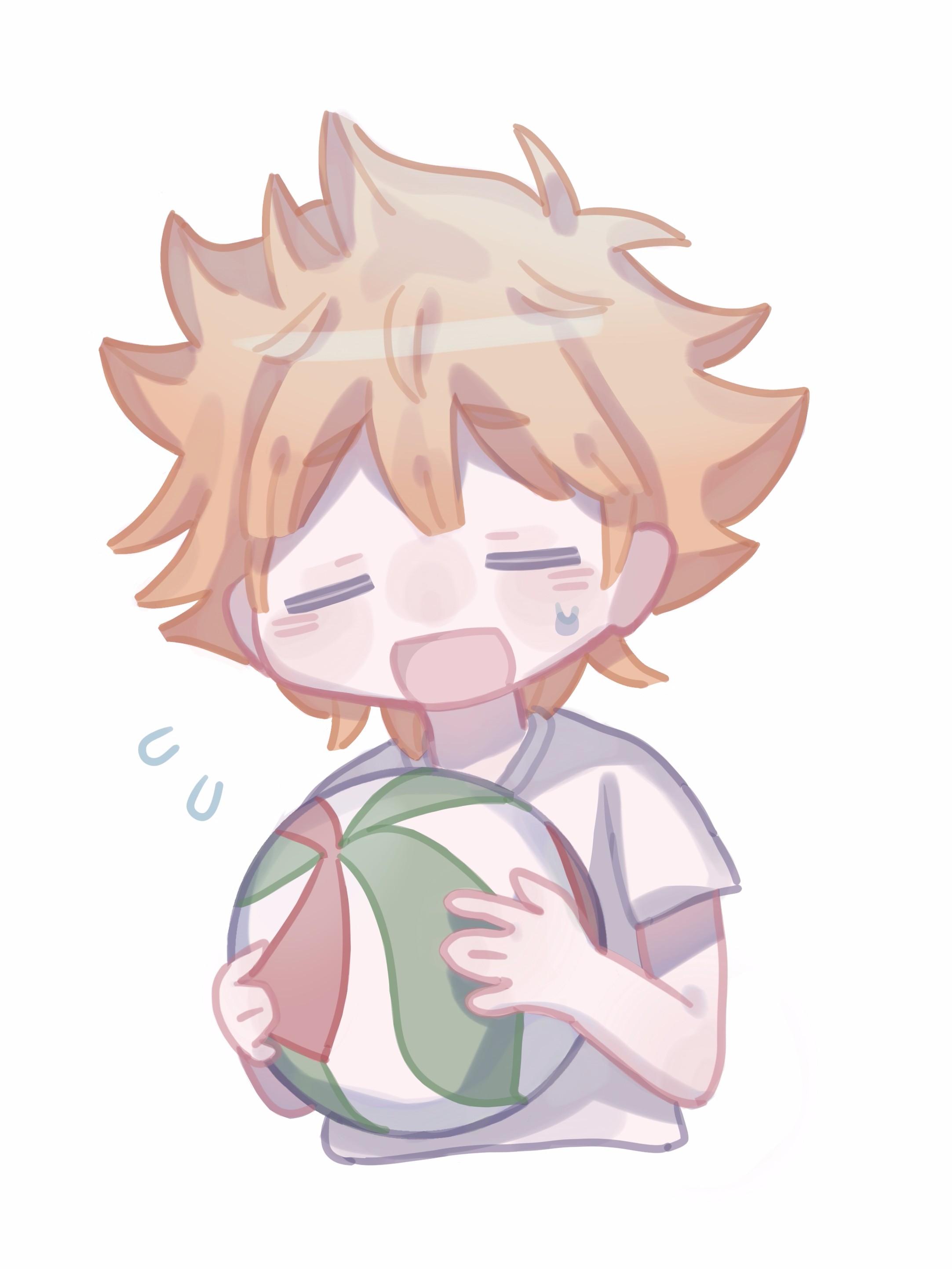 小太阳日向翔阳排球少年