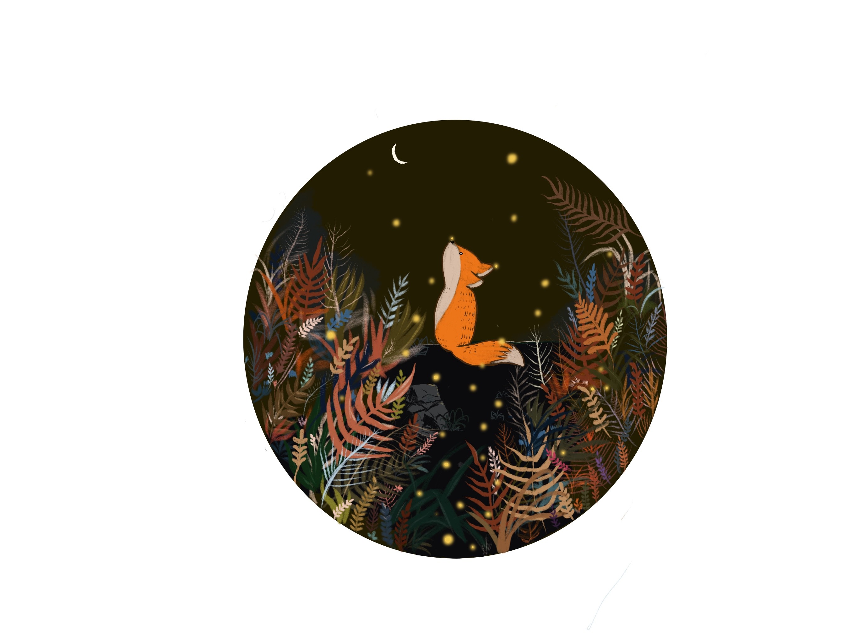 狐狸和月亮插画图片壁纸