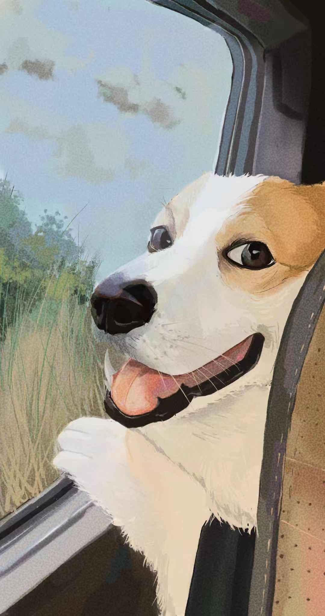 柯基插画图片壁纸