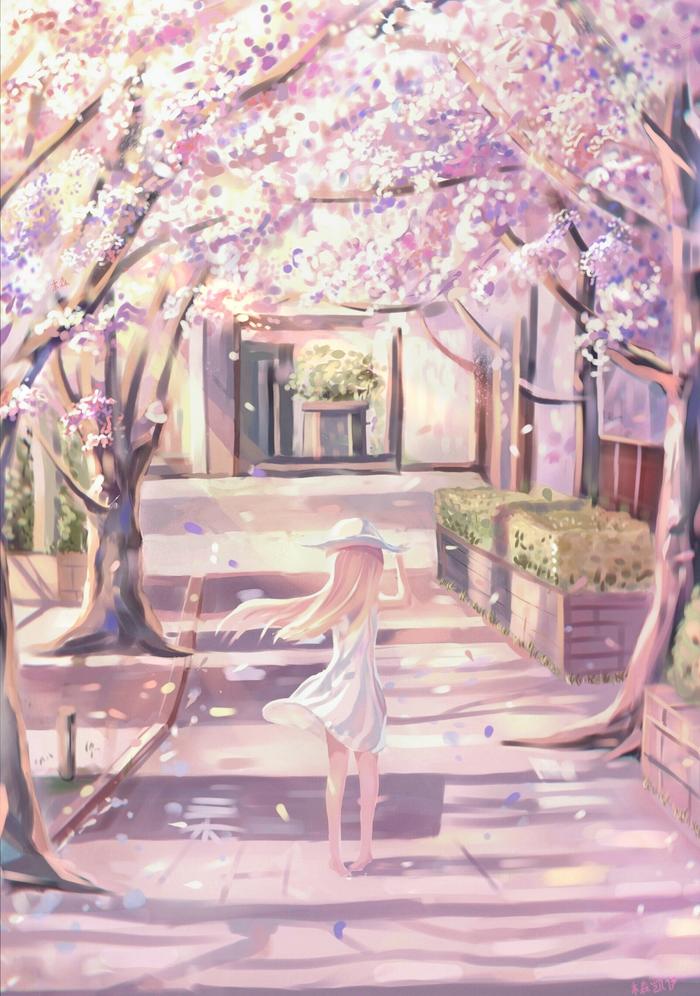 桜の花插画图片壁纸