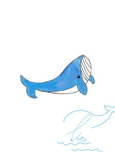 鲸鱼插画图片壁纸