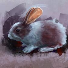 兔子🐰插画图片壁纸