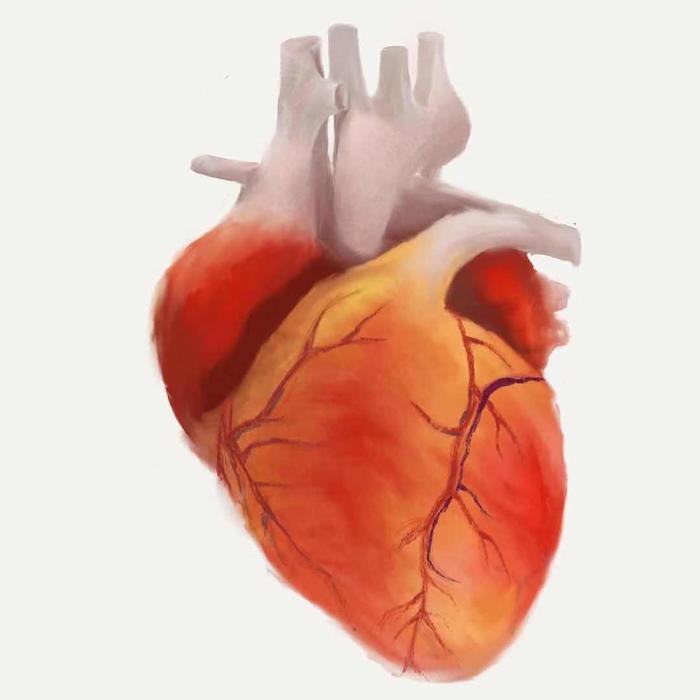 heart插画图片壁纸