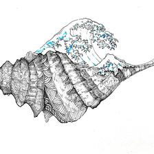 神奈川的海螺插画图片壁纸