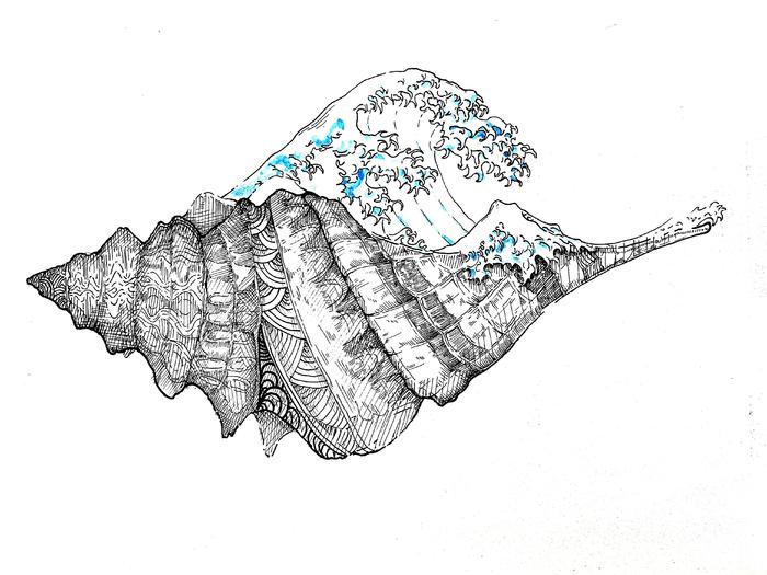 神奈川的海螺插画图片壁纸