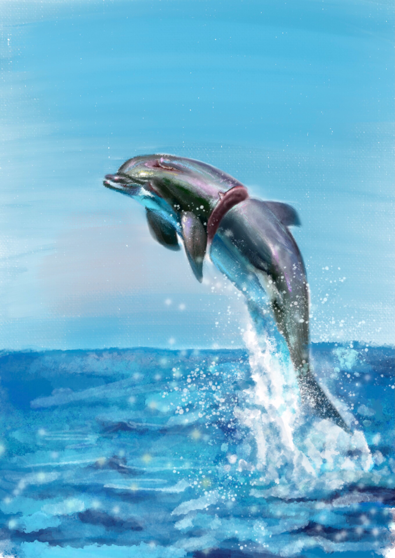 保护海洋动物-豚插画图片壁纸