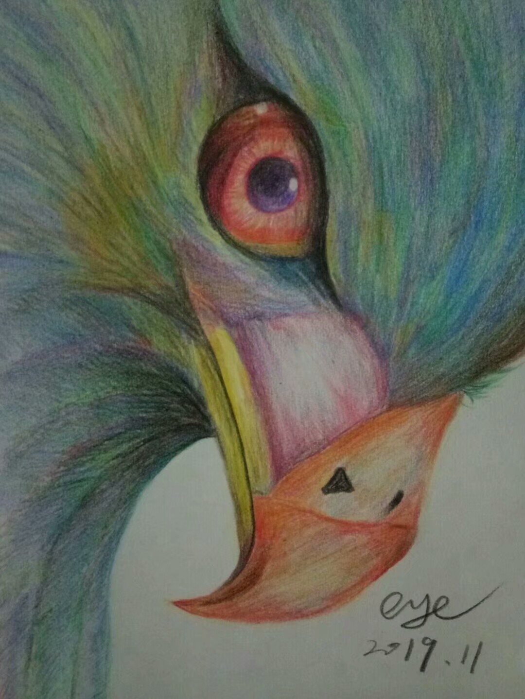 彩铅画鸟