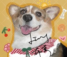 狗狗壁纸-动物小动物
