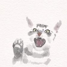 猫猫插画图片壁纸
