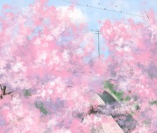 樱花-樱花旅游