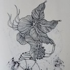 植物线稿插画