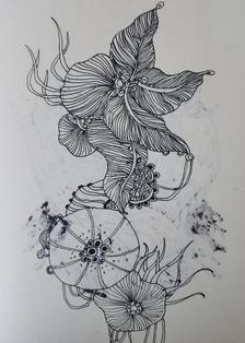 植物线稿插画插画图片壁纸