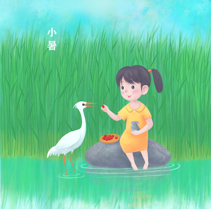 小暑插画图片壁纸