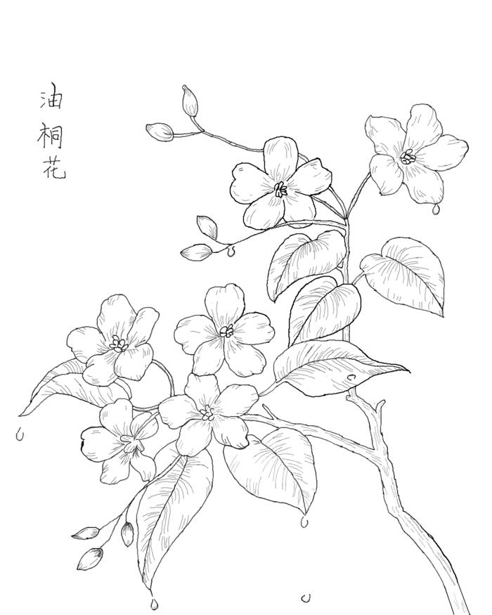 线稿插画图片壁纸