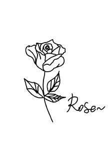Rose插画图片壁纸