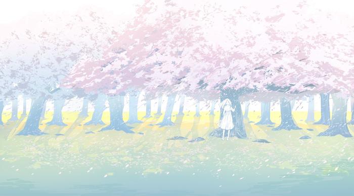 樱花树下插画图片壁纸