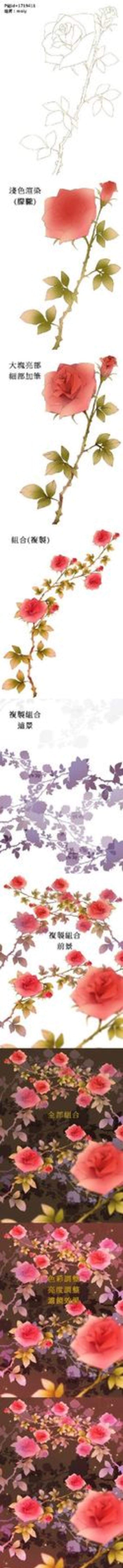 动漫绘师moiy的花卉教程合集，教你画玫瑰、百合、山茶花等9种不同的花卉插画图片壁纸