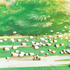 《Sheep》插画图片壁纸