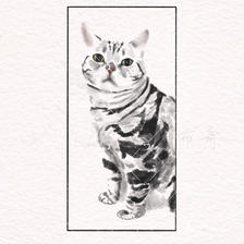 小动物插画图片壁纸