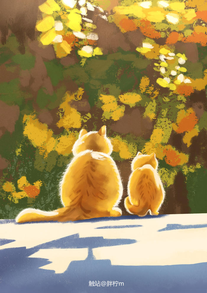 色彩速涂休憩的可爱橘猫插画图片壁纸