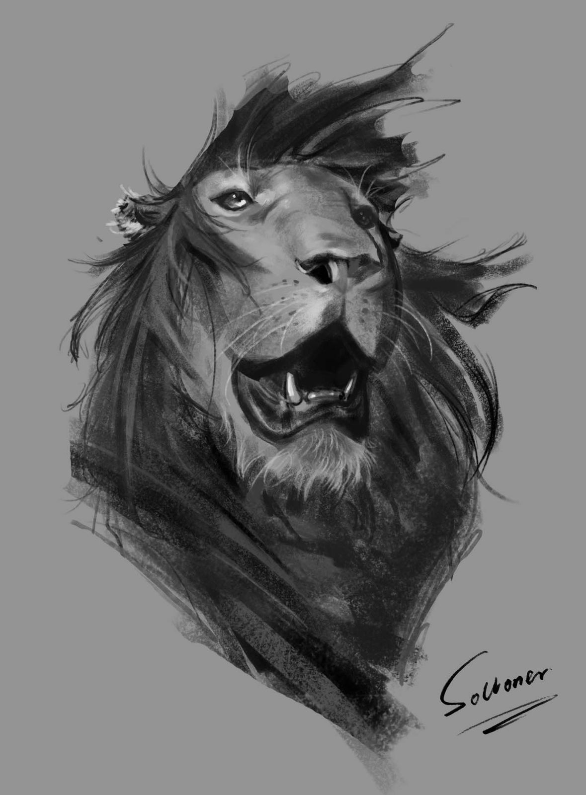 雄狮肖像插画图片壁纸