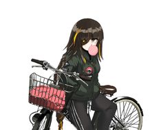 M16A1 + Bike-少女少女战线