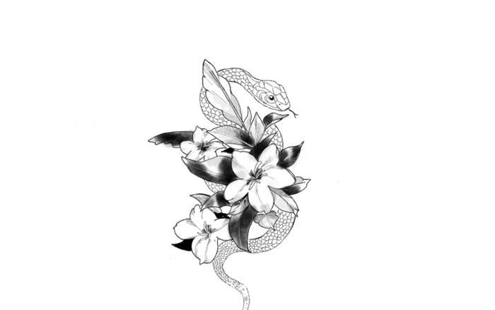 花与蛇纹身设计插画图片壁纸