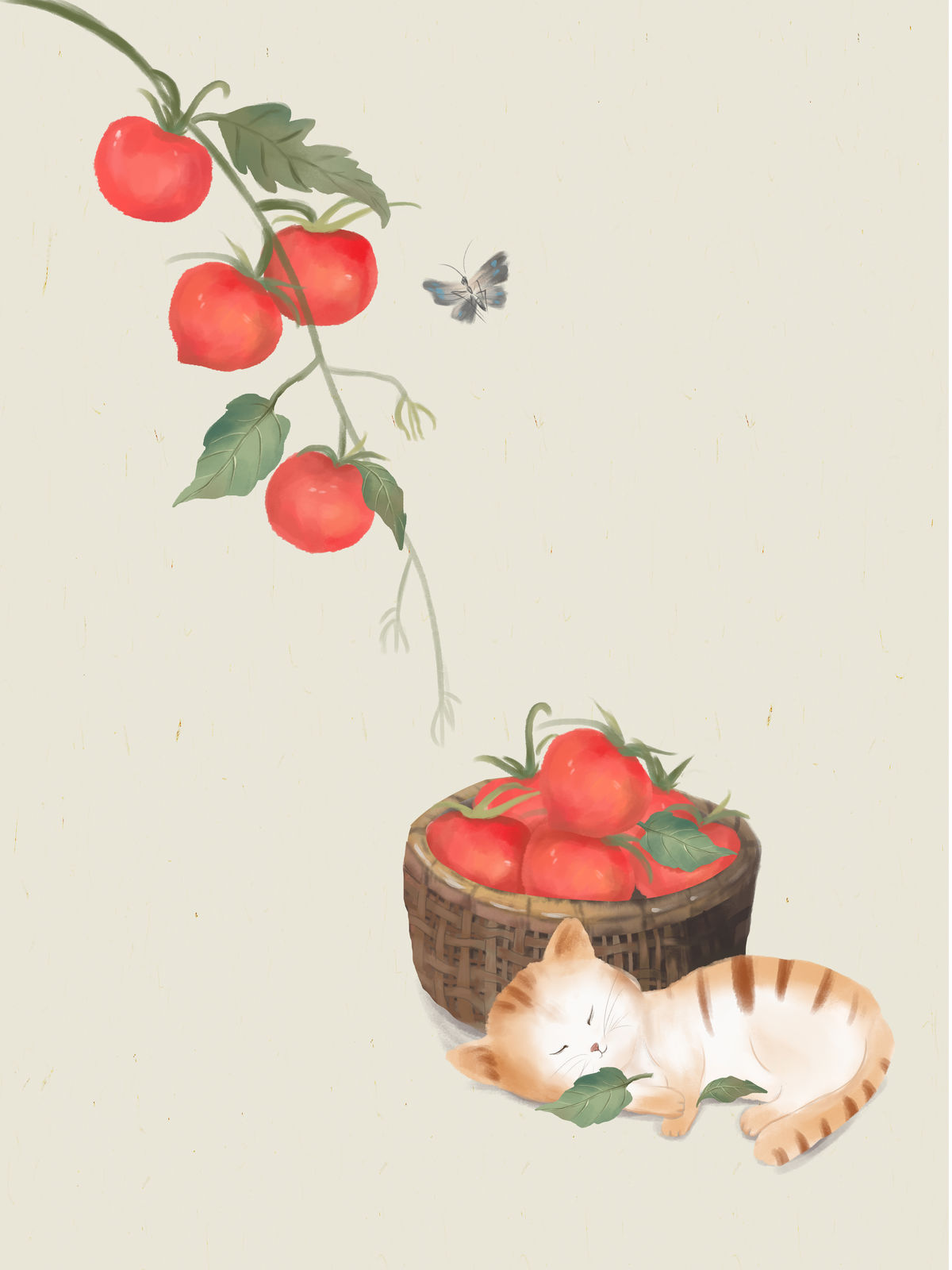 一只猫的午后古风水彩