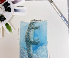 🐊-水彩动物插画，商插，绘本，治愈，可爱