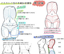 用在插图上！解剖学讲座腿和腰篇