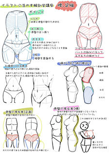 用在插图上！解剖学讲座腿和腰篇插画图片壁纸
